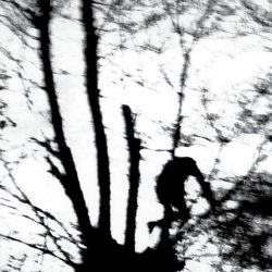 Cindytalk - Camouflage Heart (2025) [Remastered]