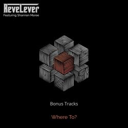 ReveLever - Where To? - Bonus Tracks (2020) [EP]