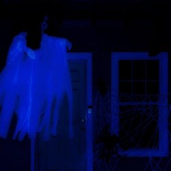 Frail Chain - Shutting Down (2025) [Single]