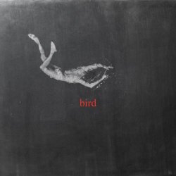 Low Island - Bird (2025)