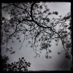 Dirk Serries - Treasure Of Stars (Streams Of Consciousness) (2025)