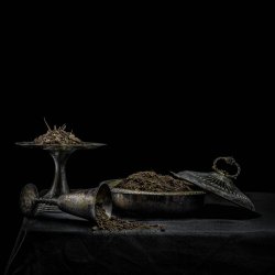 Holy Scum - All We Have Is Never (2025)