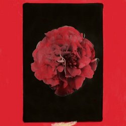 Activity - A Thousand Years In Another Way (2025)