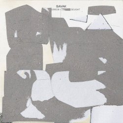 SAVAK - Error / Delight (2022)