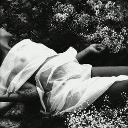 Sunfear - In Light (2024) [Single]