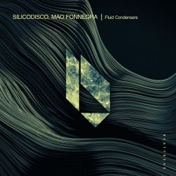 Silicodisco - Fluid Condensers (2025) [Single]
