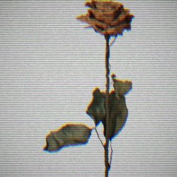 Blut Reaktor - Ghost (2025) [Single]