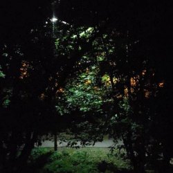 Radiotehnika - Ужас И Красота (2025) [EP]
