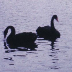 SKUPPIN - Helles Licht / Dunkler Raum (2025) [Single]