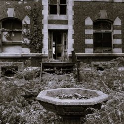 The Ginger Twins - Vacancy (2025)