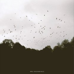 Вирь & Majdanek Waltz - Split (2025)