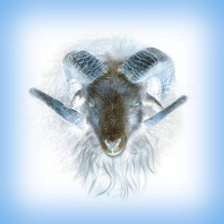 REMINA - In The Loving Arms Of A Heretic (2025)