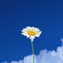 Labyrinth Ear - Beautiful Day (2025) [Single]