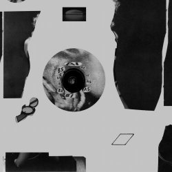 Fashion Flesh - Withdrawn (2017)