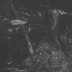 Holy Water - Holy Water (2023)