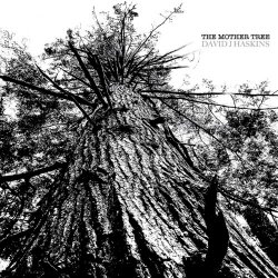 David J Haskins - The Mother Tree (2025)