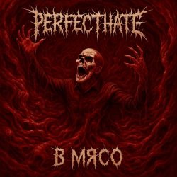 PerfectHate - В Мясо (2025)