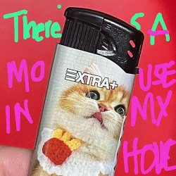Dog Race - There's A Mouse In My House (2023) [Single]