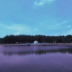 tristezadeluna - Sadness Garden (2025) [EP]