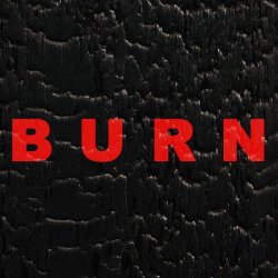 Such Beautiful Flowers - Burn (2025) [Single]