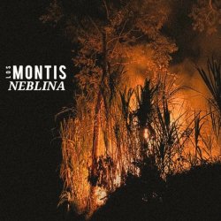 Los Montis - Neblina (2023) [Single]
