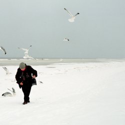 Infinity Night - Winter (2015) [EP]