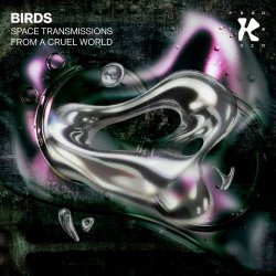 Birds - Space Transmissions From A Cruel World (2025) [EP]