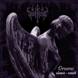 Vioflesh - Dreams (Slowed + Reverb) (2025) [Single]
