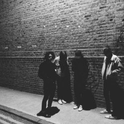 FEWS - Means (2016)