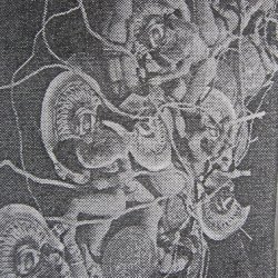Morbid Fancy - Shoe Nail (1993)