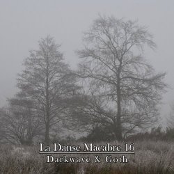 VA - La Danse Macabre 16 (2024)