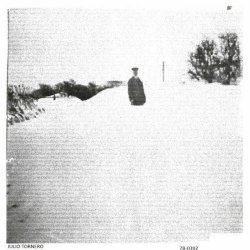 Julio Tornero - 7B-0392 (2025)