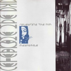 Celebrate The Nun - Meanwhile (1989)
