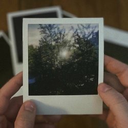 Vines - Birthday Party (2023)