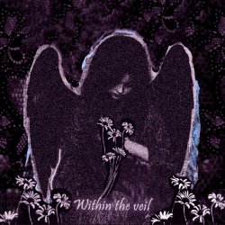 Vioflesh - Within The Veil (2025) [Single]