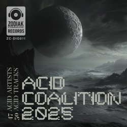 VA - Acid Coalition 2025 (2025)