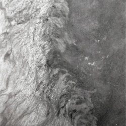 Reitelaitis - Kafenolis (2021) [EP]