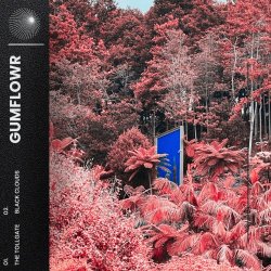 Gumflowr - The Tollgate / Black Clouds (2025) [Single]