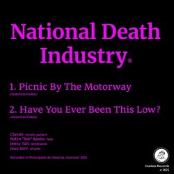 National Death Industry - Picnic By The Motorway / Have You Ever Been This Low? (2025) [Single]