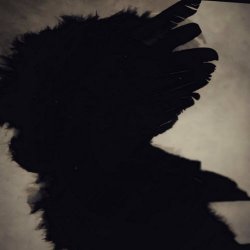 Fenetzar - Ihmiskarkote (2022) [Single]