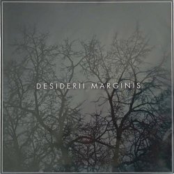 Desiderii Marginis - The Night Slept On My Arm (2023) [Single]