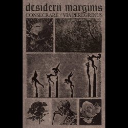 Desiderii Marginis - Consecrare/Via Peregrinus (2024)