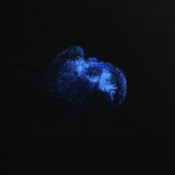 Donbor - Absence (2022) [EP]