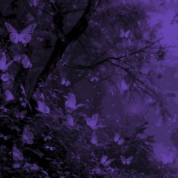 Dexkiris - Violet Rebirth (2024) [Single]