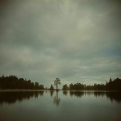 Antipole & Paris Alexander - Alone Again (R. Missing Remix) (2025) [Single]