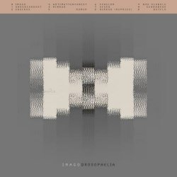 Drosophelia - Imago (2019)