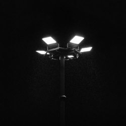 Fragile Animals - Tourist (2025) [EP]