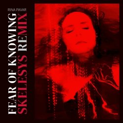 Rina Pavar - Fear Of Knowing (Skelesys Remix) (2025) [Single]