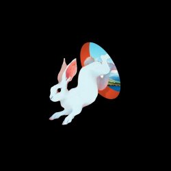 Ganser - Animal Hospital (2025)