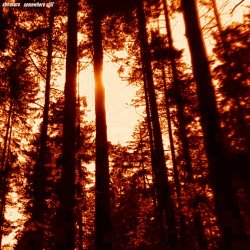 Shirokuro - Somewhere Still (2021)